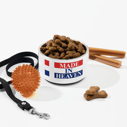 Plato para mascota