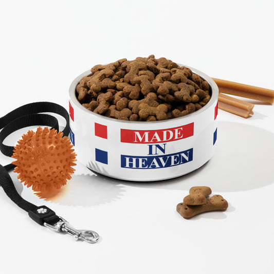 Plato para mascota
